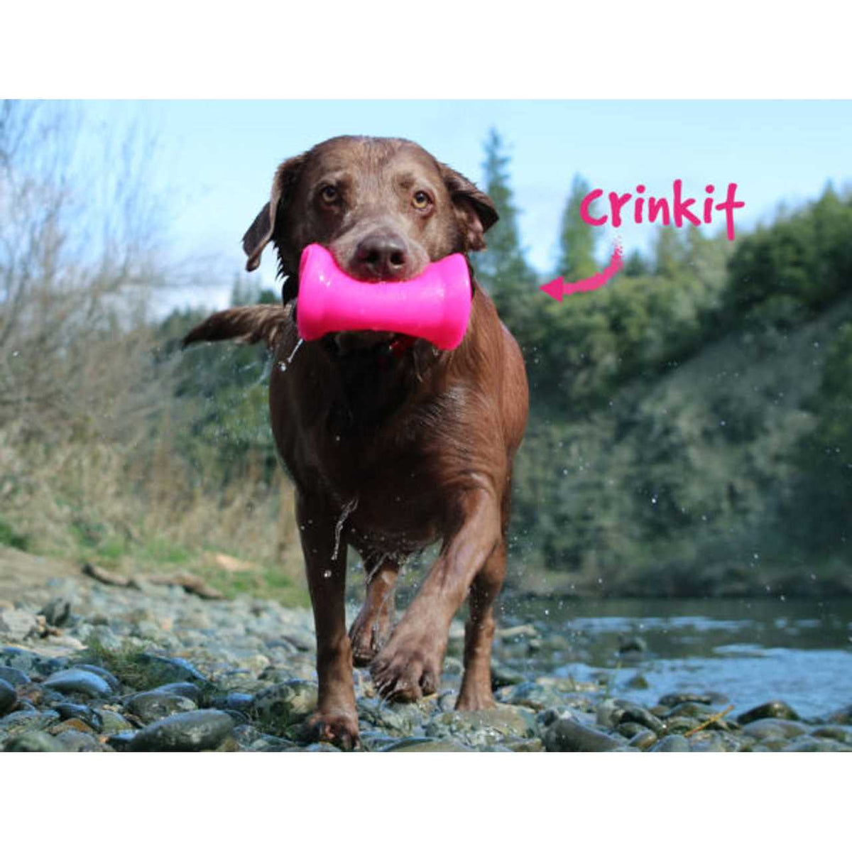 Crinkit Dog Toy M1791