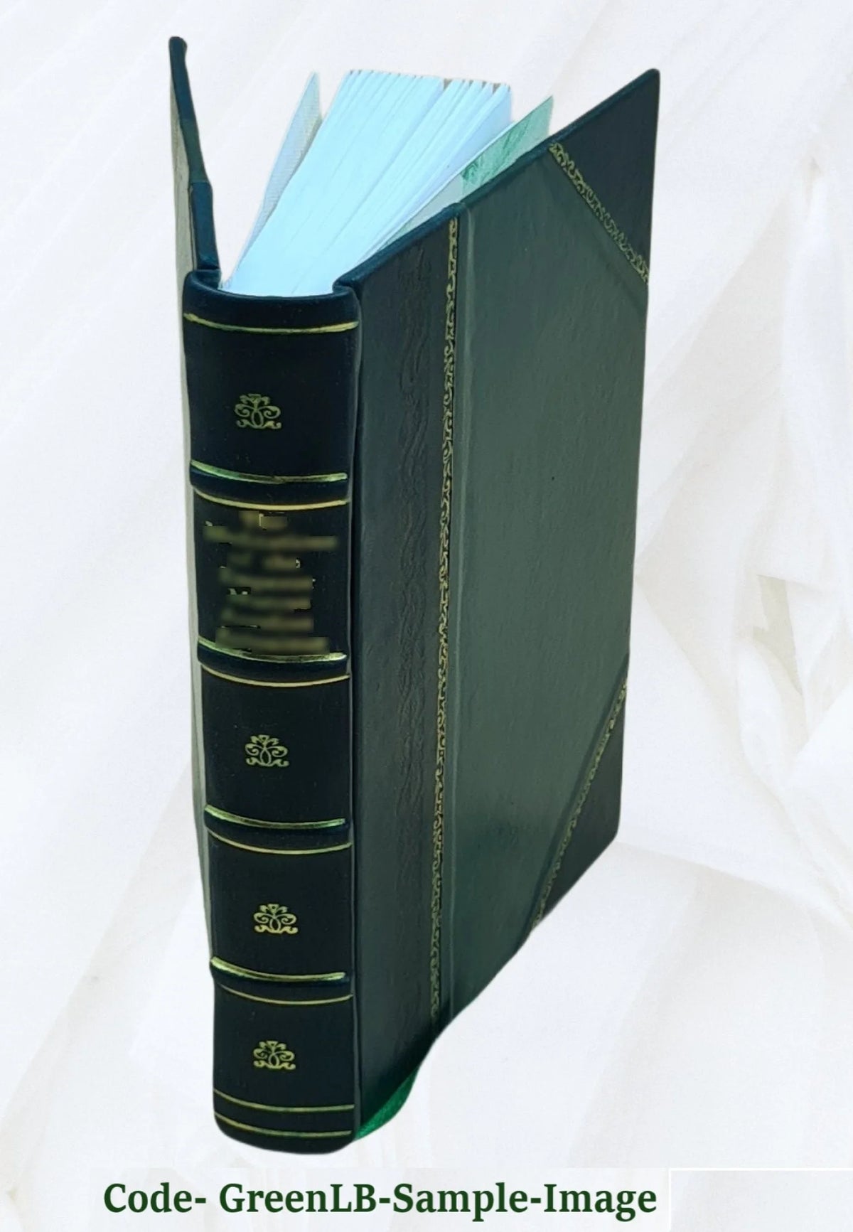 Leather Bound Book F35686