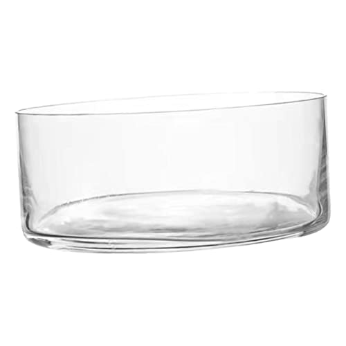 Round Glass Hydroponic Vase Terrarium Planter V7254