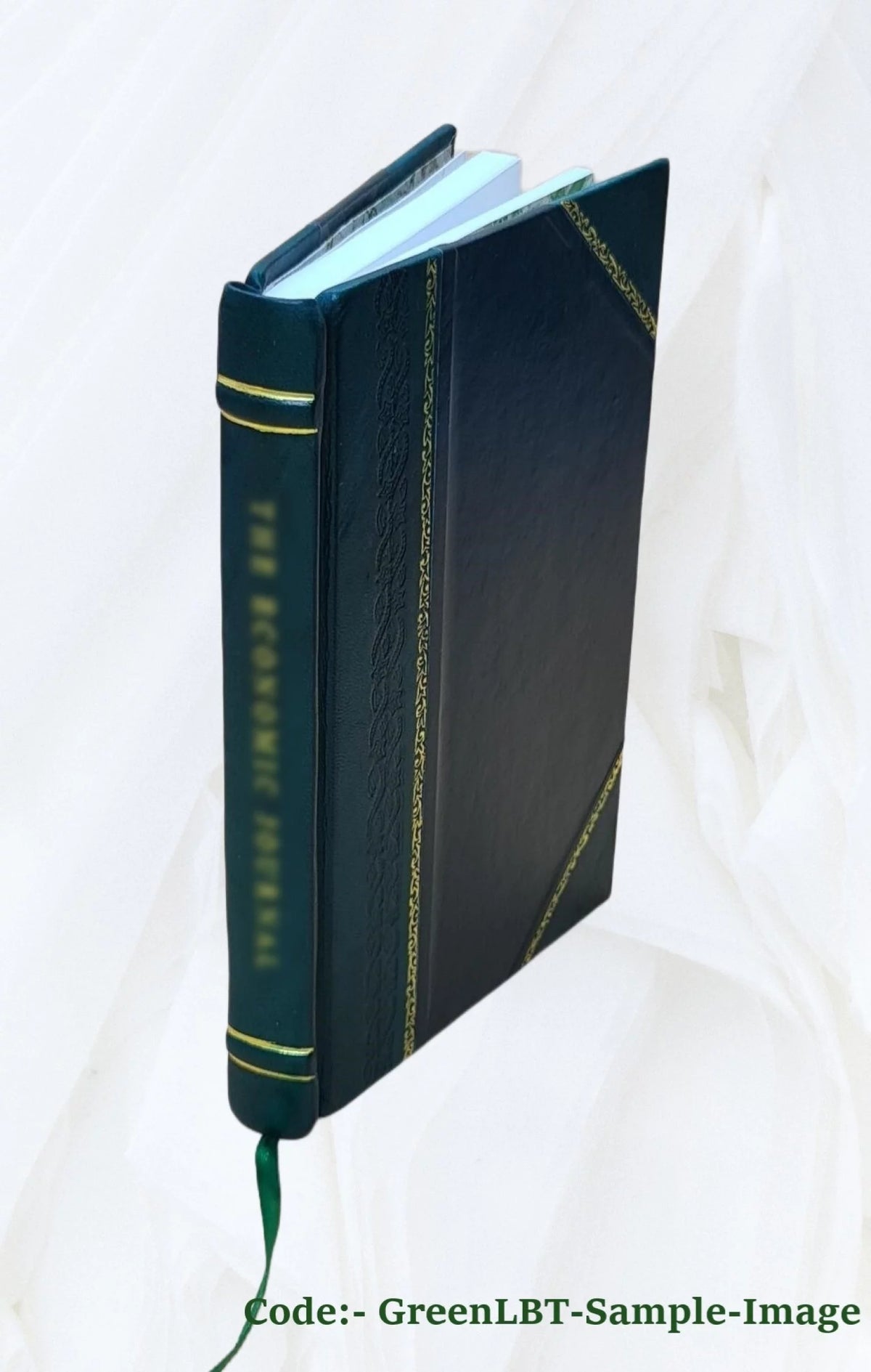 Radio and electronic dictionary Leather Bound F620647