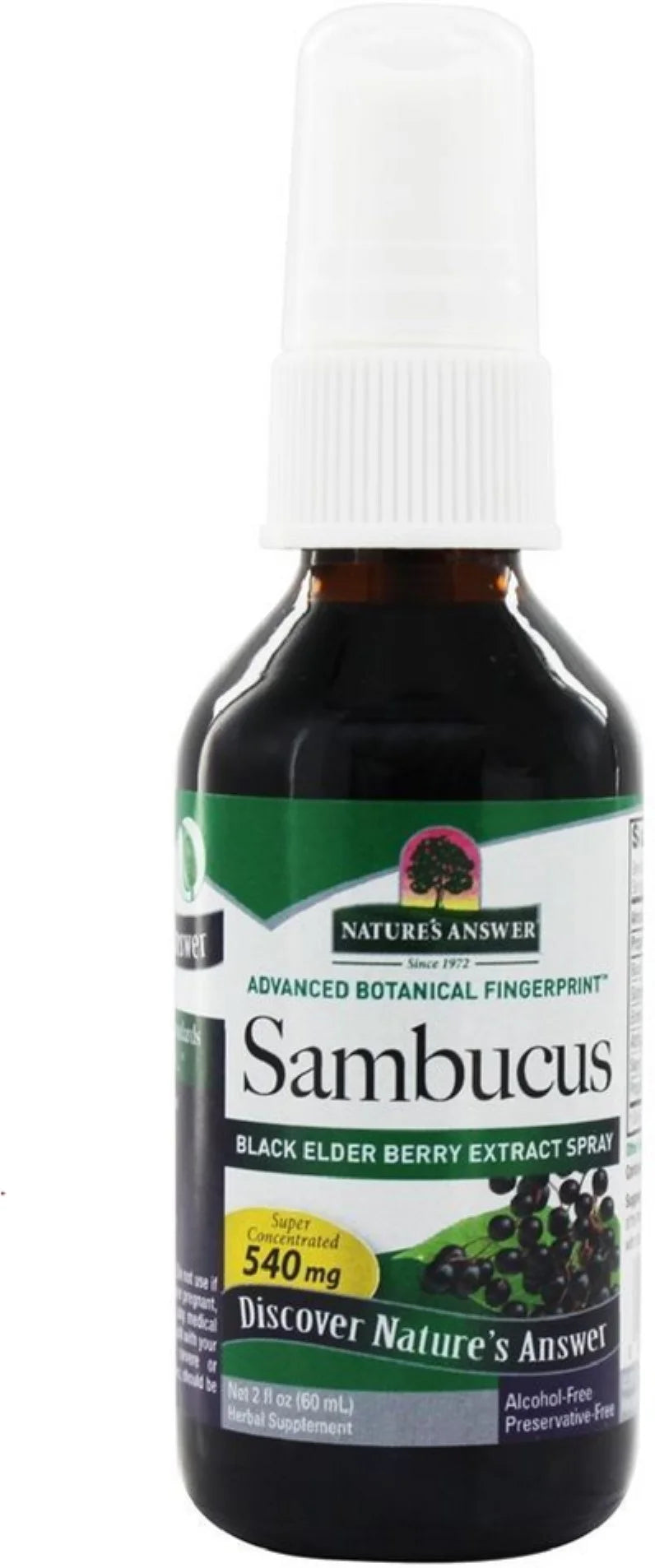 2 oz Black Elder Berry Extract Spray V7707
