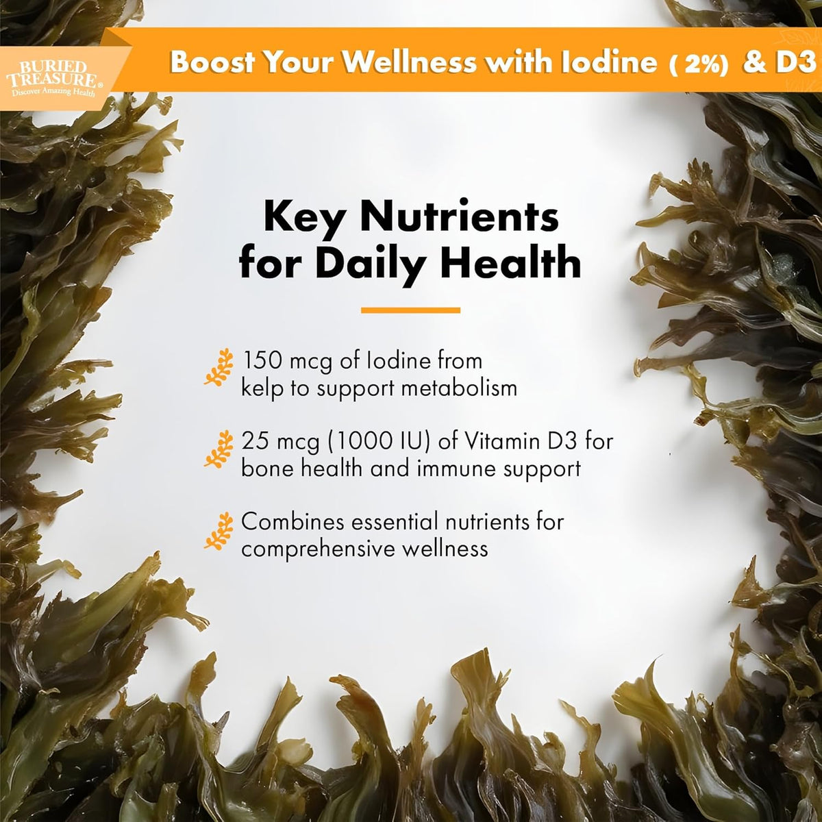 2 fl oz Iodine Drops with Kelp Z205