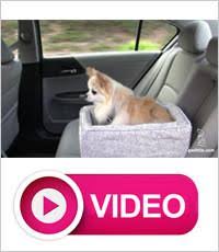 Console Dog Car Seat D985