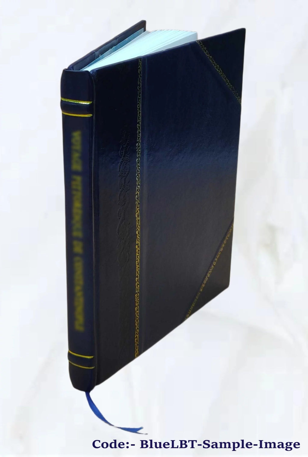Radio and electronic dictionary Leather Bound F620647