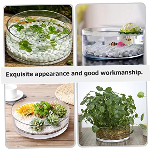 Round Glass Hydroponic Vase Terrarium Planter V7254