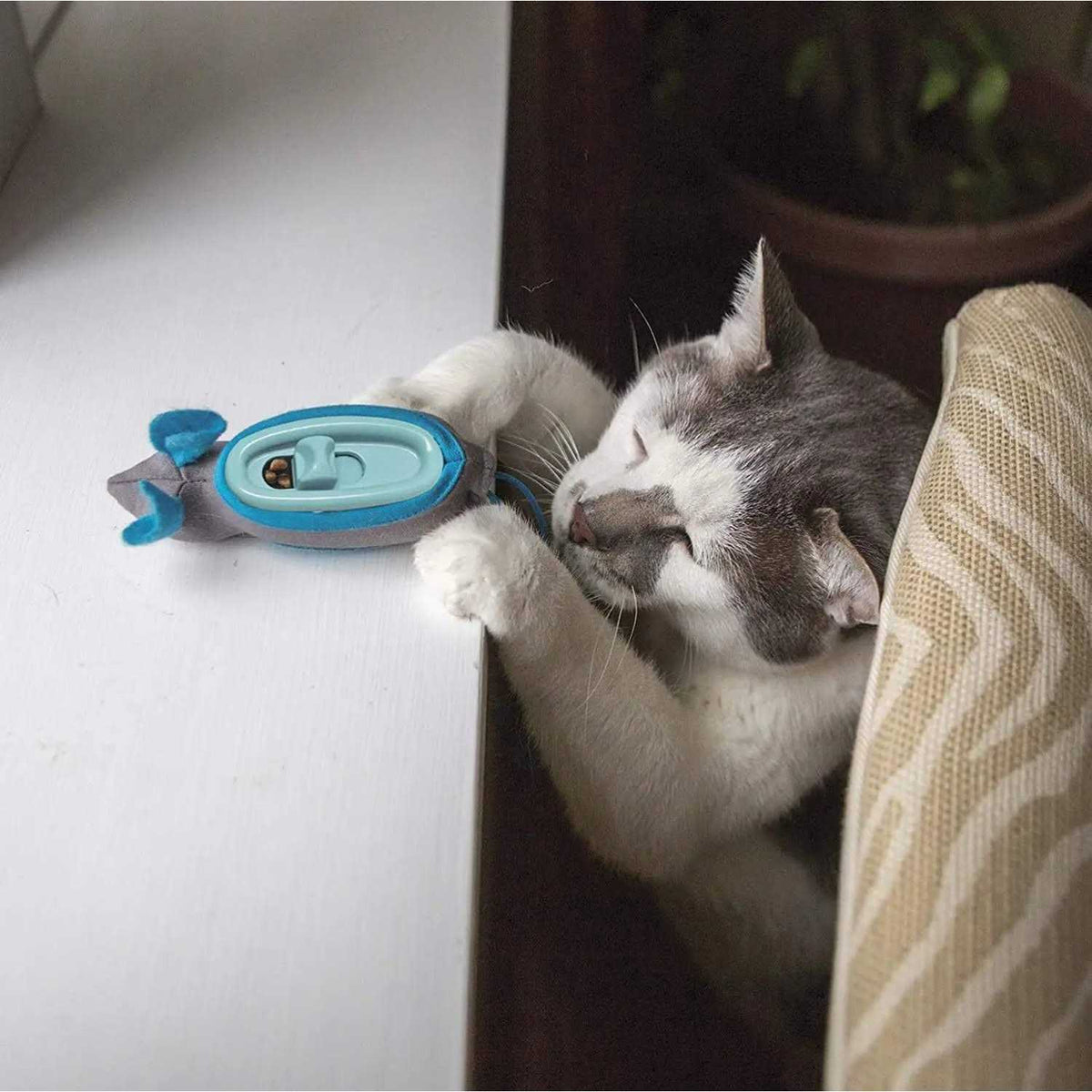Cat Feeder M66336