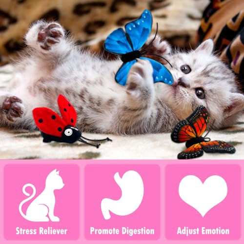 10 Pack Catnip Cat Toys E824080