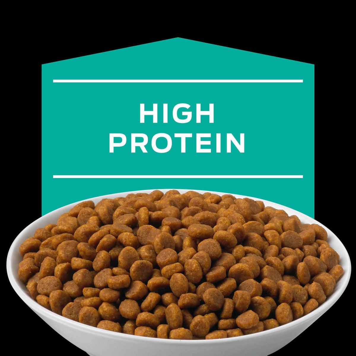 Gastroenteric Dry Cat Food Z947047