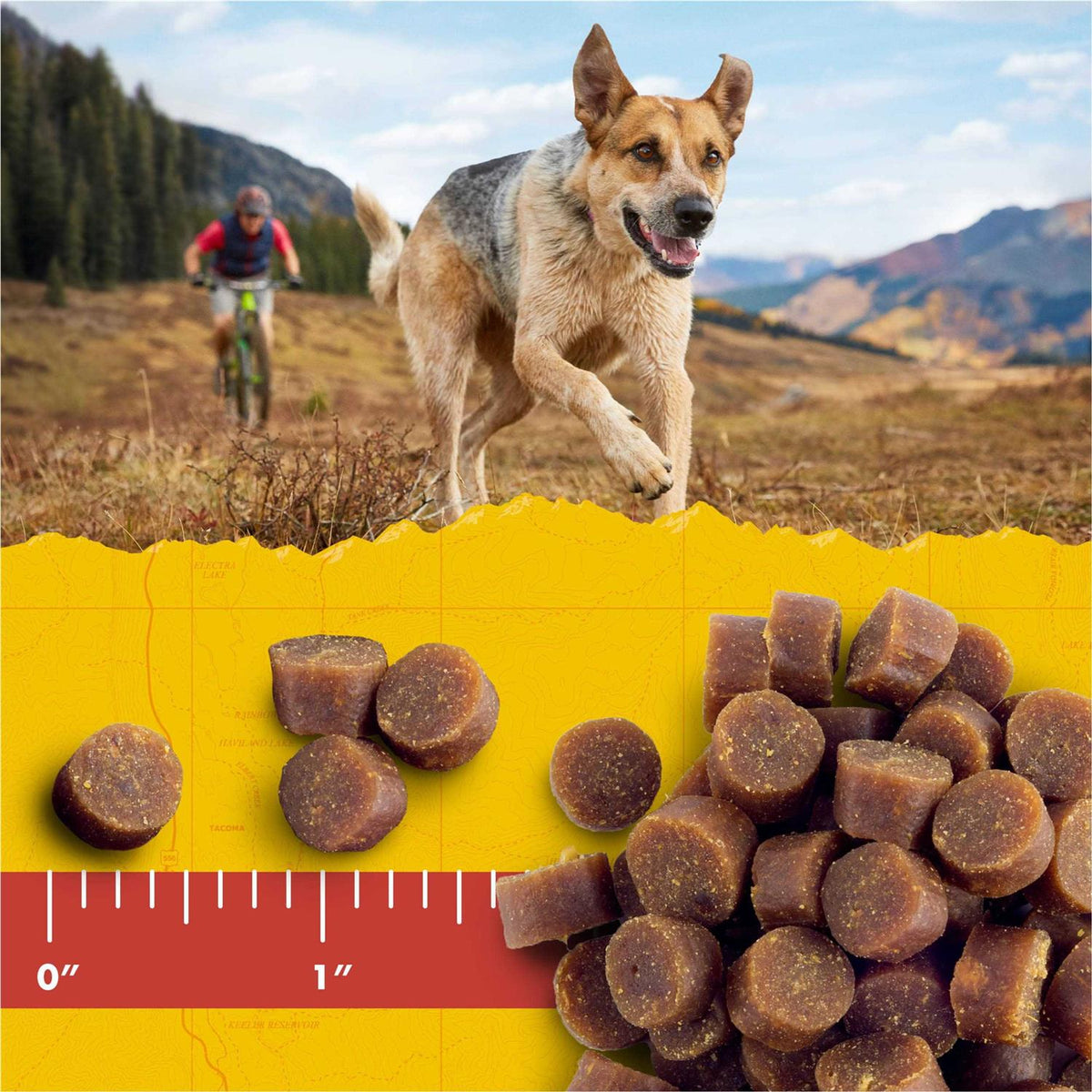 Dog Treats B250