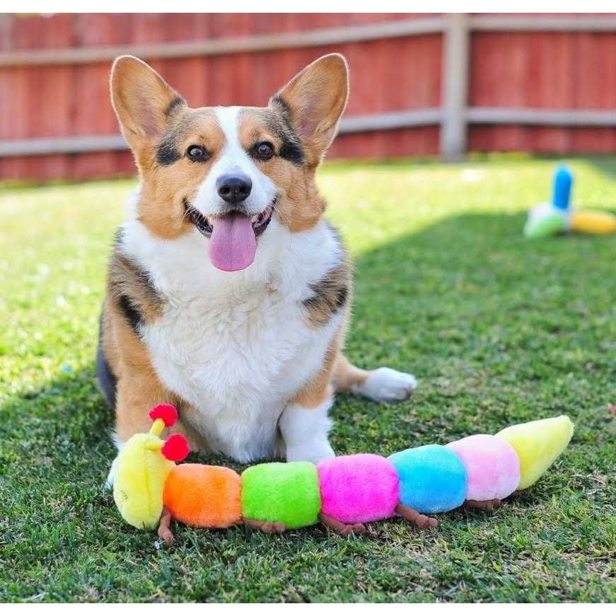 Caterpillar Dog Toy I8061