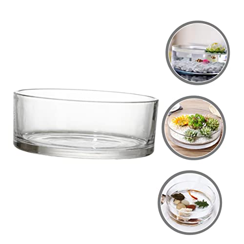 Round Glass Hydroponic Vase Terrarium Planter V7254
