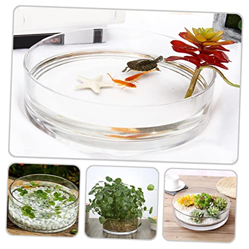 Round Glass Hydroponic Vase Terrarium Planter V7254