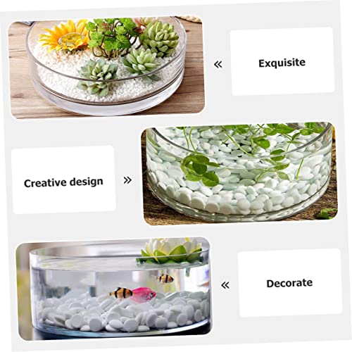 Round Glass Hydroponic Vase Terrarium Planter V7254