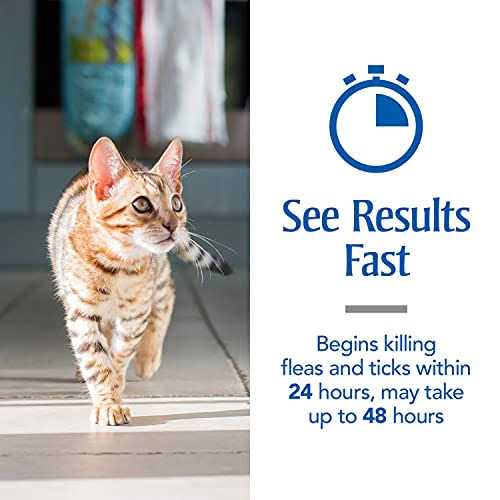Flea and Tick Treatment for Cats M414297