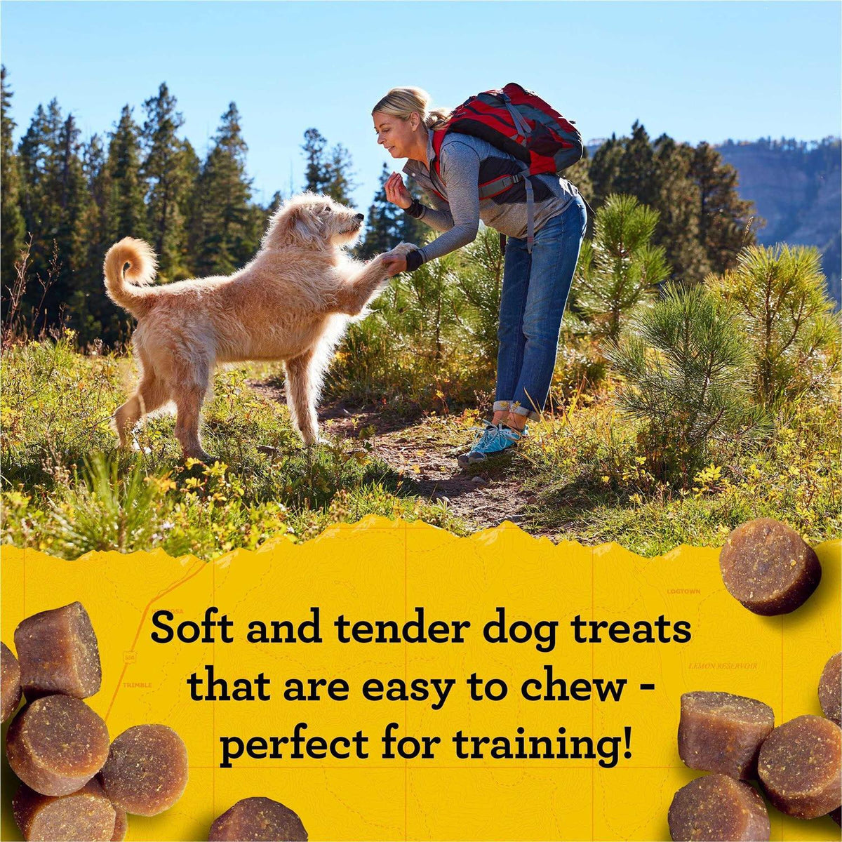 Dog Treats B250