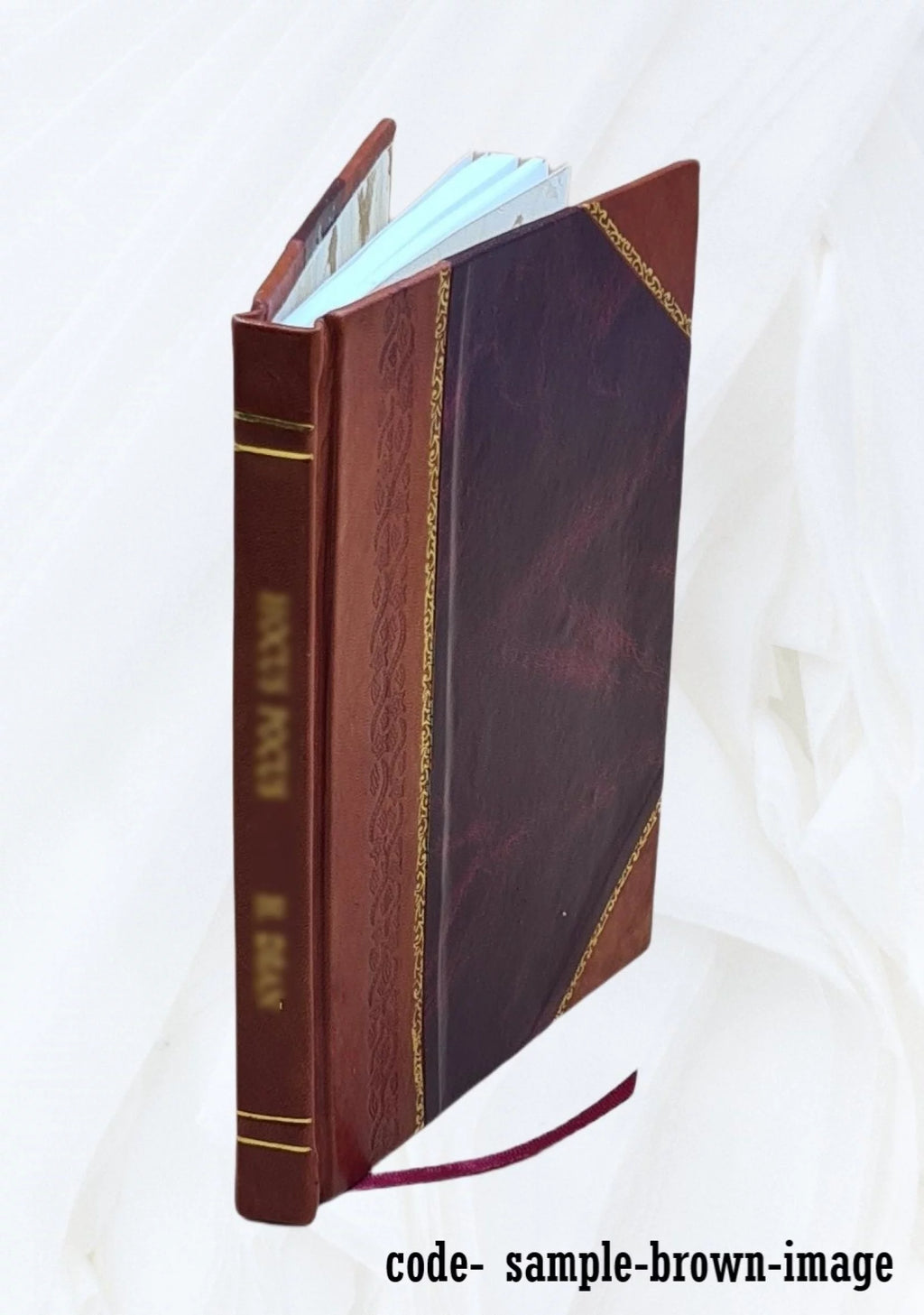 Radio and electronic dictionary Leather Bound F620647