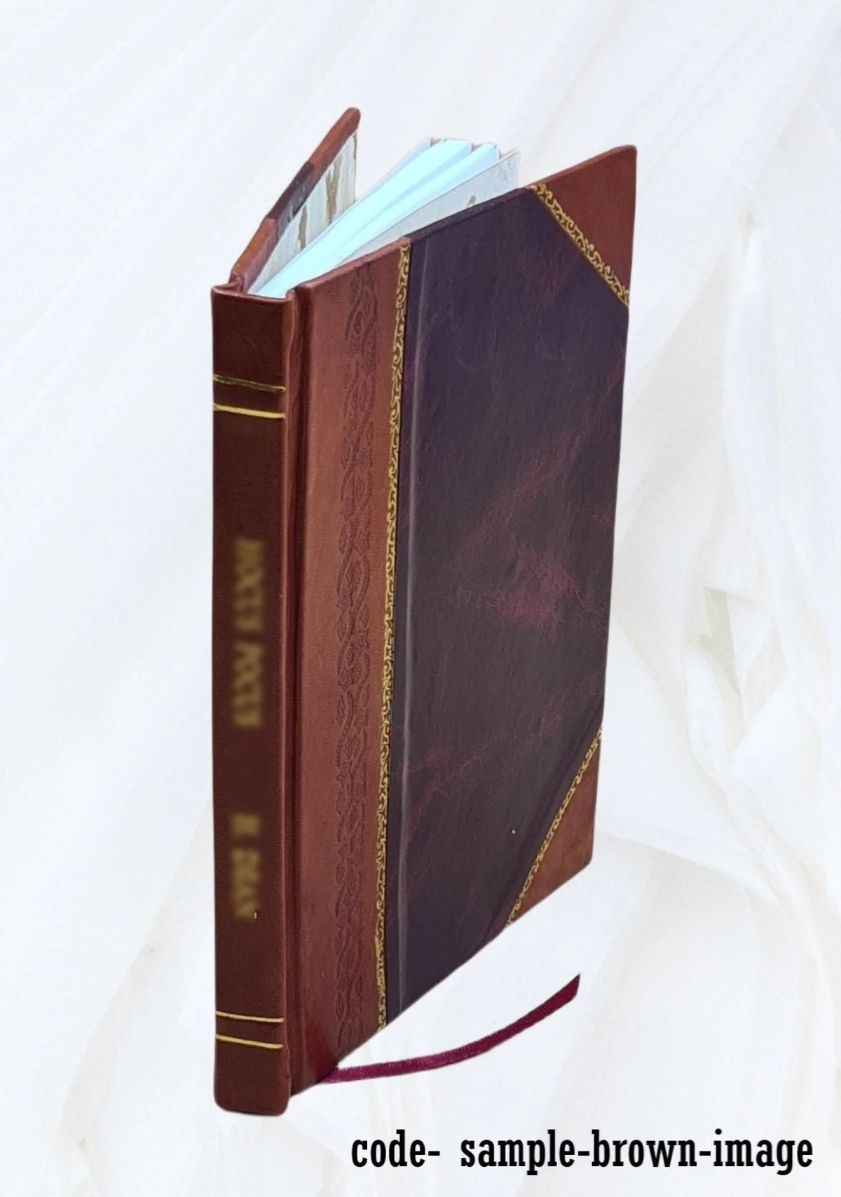 Radio and electronic dictionary Leather Bound F620647
