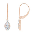 Natural 0.42 Ct. Diamond Drop Earrings in 14K Rose Gold N70452