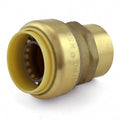 2Pc Push To Connect x 3/4" FNPT Adapter O5892