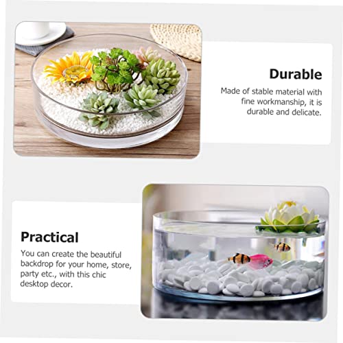 Round Glass Hydroponic Vase Terrarium Planter V7254