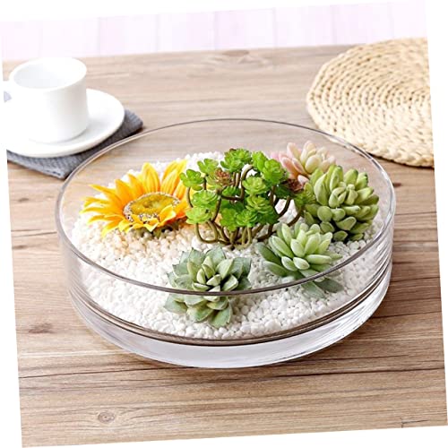 Round Glass Hydroponic Vase Terrarium Planter V7254