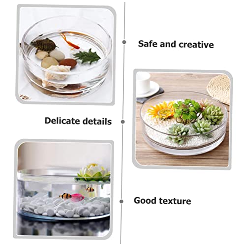 Round Glass Hydroponic Vase Terrarium Planter V7254
