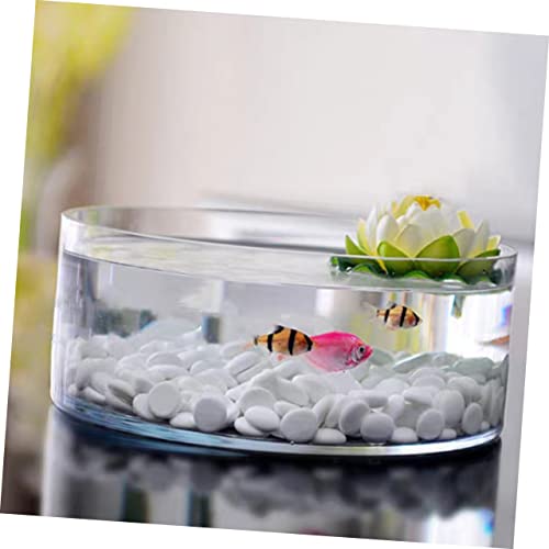 Round Glass Hydroponic Vase Terrarium Planter V7254