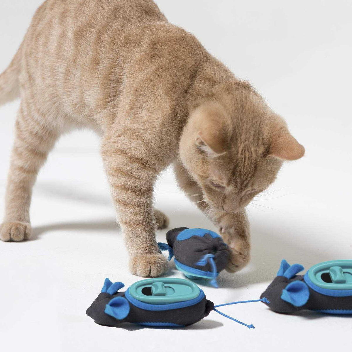 Cat Feeder M66336