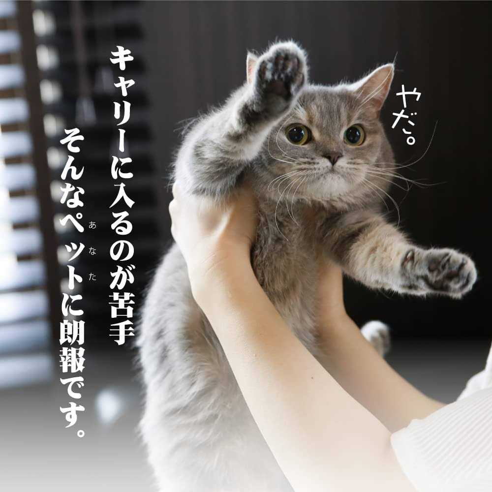 Cat Carrier with Drawer X72457