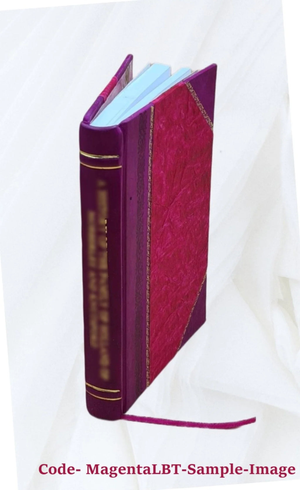 Radio and electronic dictionary Leather Bound F620647