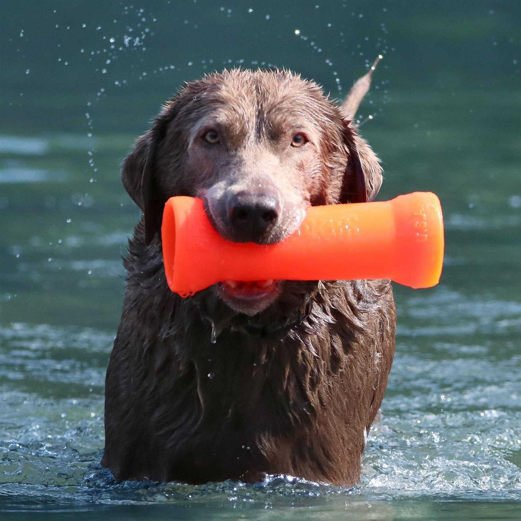 Crinkit Dog Toy M1791