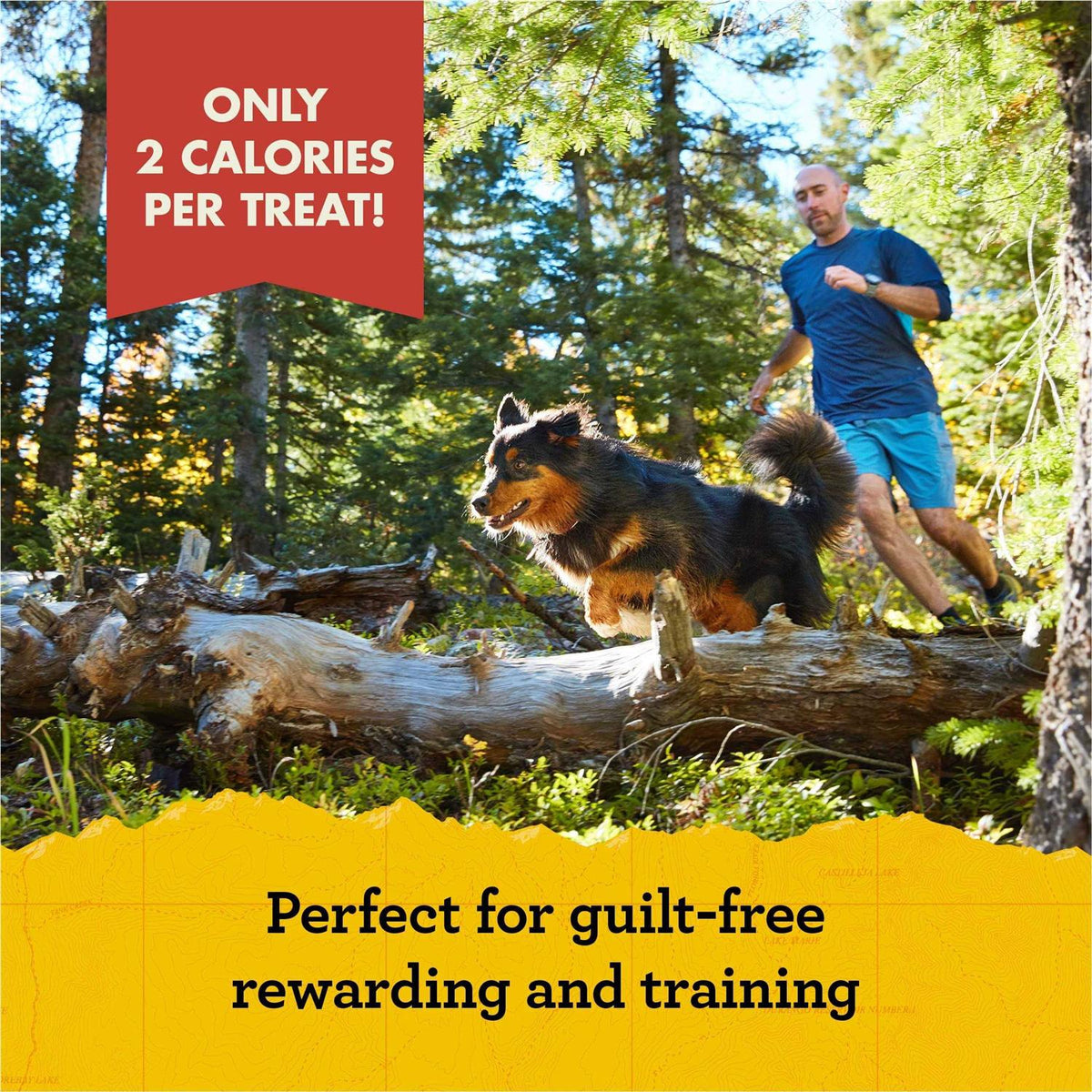 Dog Treats B250