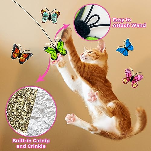 10 Pack Catnip Cat Toys E824080